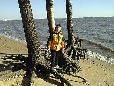 On the banks of the James River